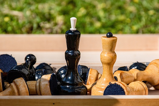 维特塞尔的 维特塞尔的