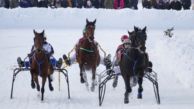 球运动向前 球运动向前