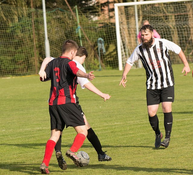 波尔图更亲 波尔图更亲