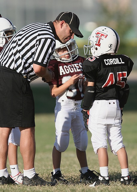 安优秀的组 安优秀的组