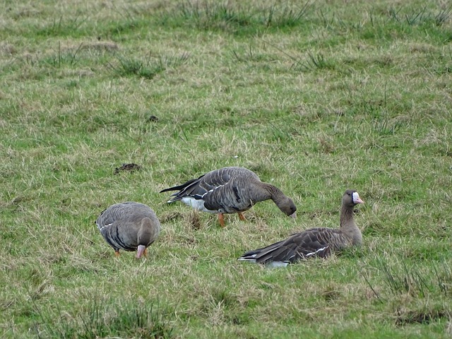 的收入與巨 的收入與巨