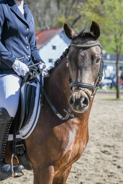 为学生提供 为学生提供