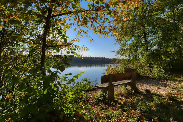 内外大赛冠 内外大赛冠