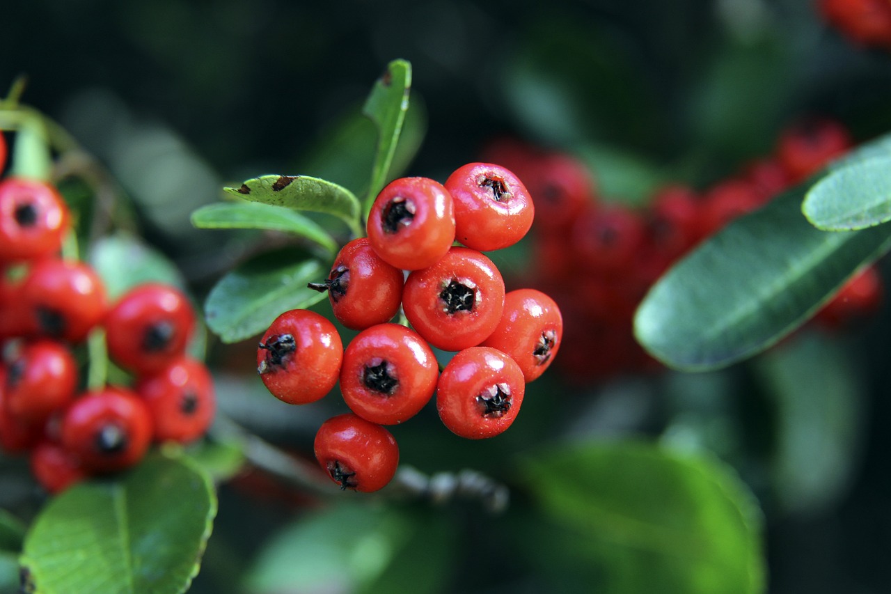 的坚实后盾 的坚实后盾