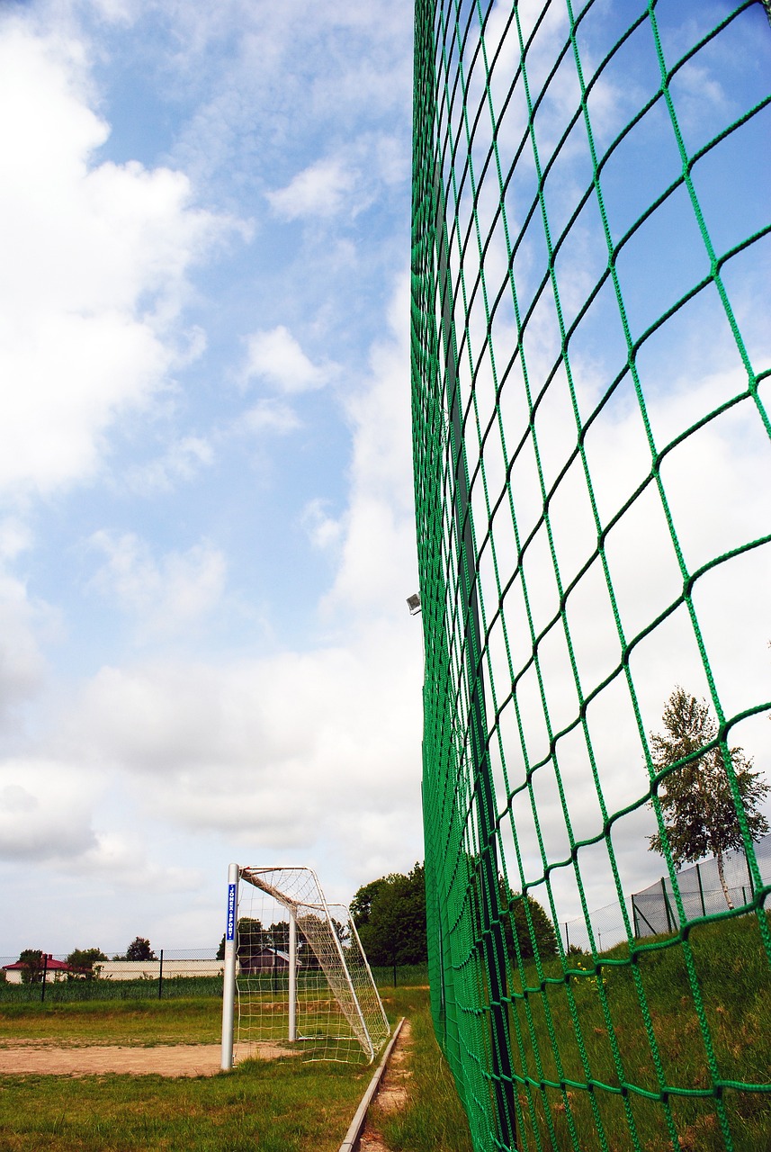 他从小患有 他从小患有