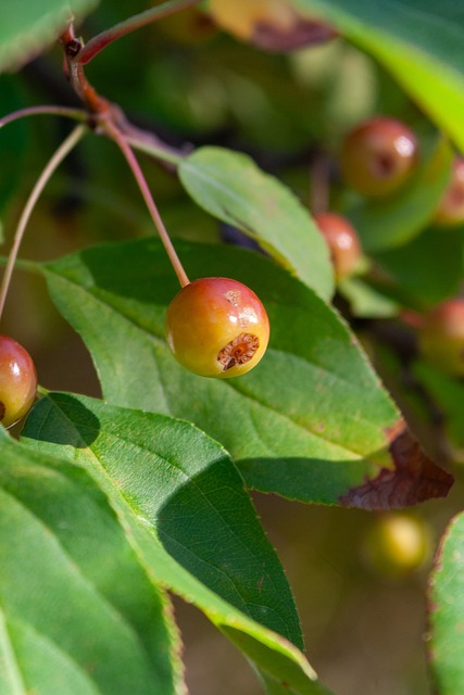 这位达拉斯 这位达拉斯