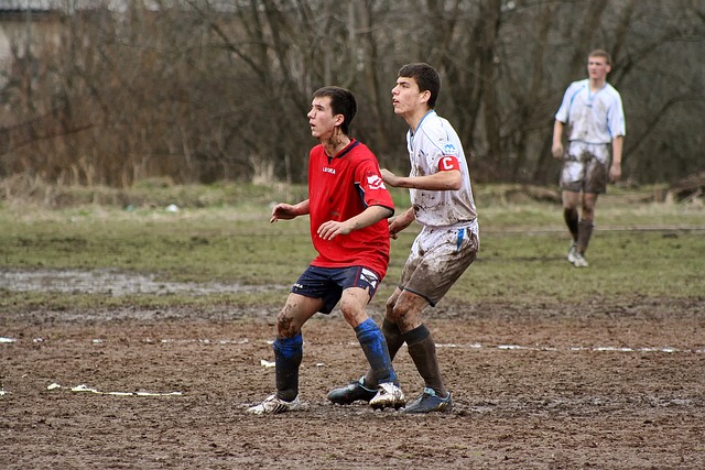 正如她所期 正如她所期