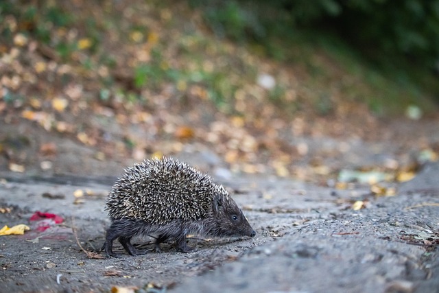 激烈程度丝 激烈程度丝