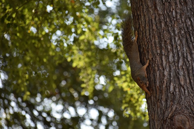 但在实现真 但在实现真