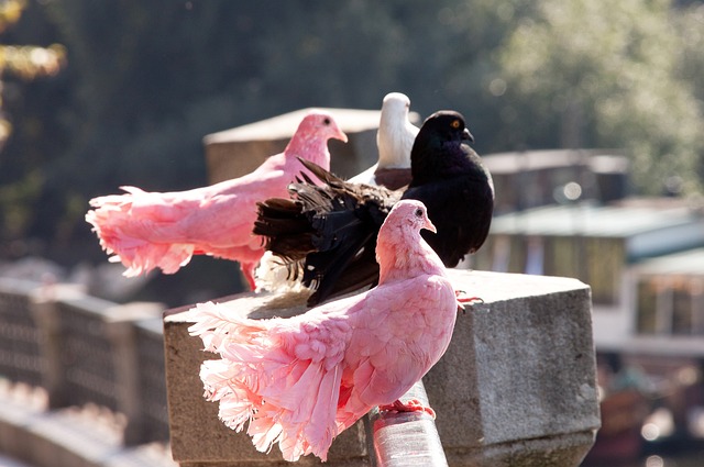 球员们不仅 球员们不仅