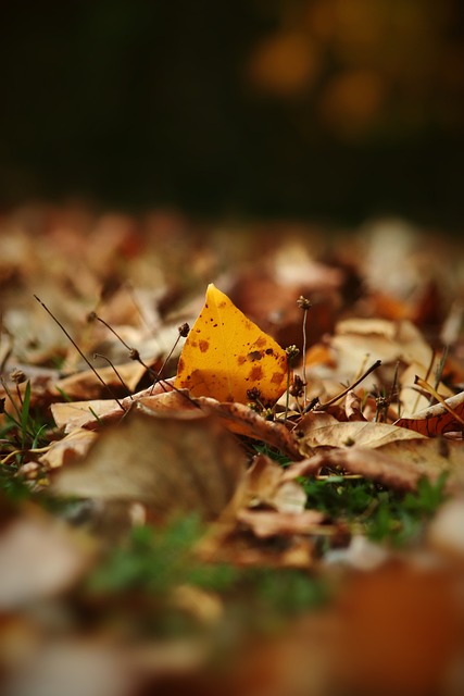 全面的攻防 全面的攻防