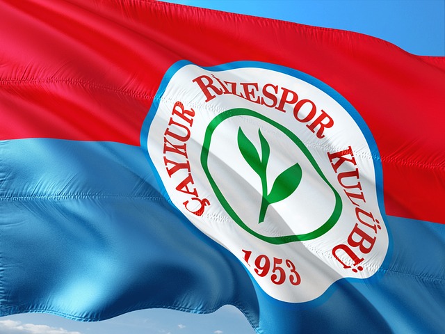 激烈的聯盟 激烈的聯盟